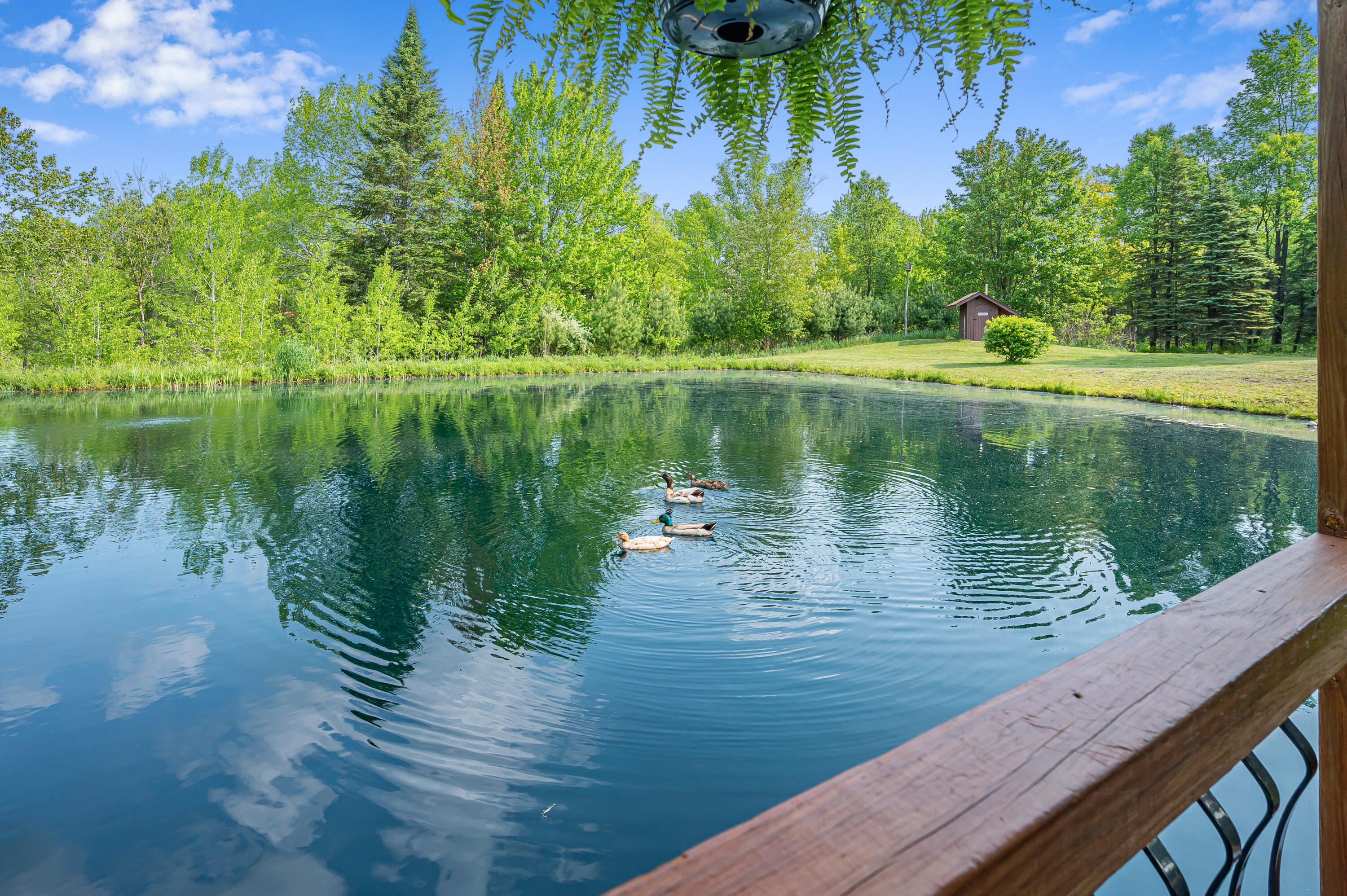 22251 210th Avenue Tustin, MI 49688 - Photo 33 of 80 22251-210thAve-Tustin-53