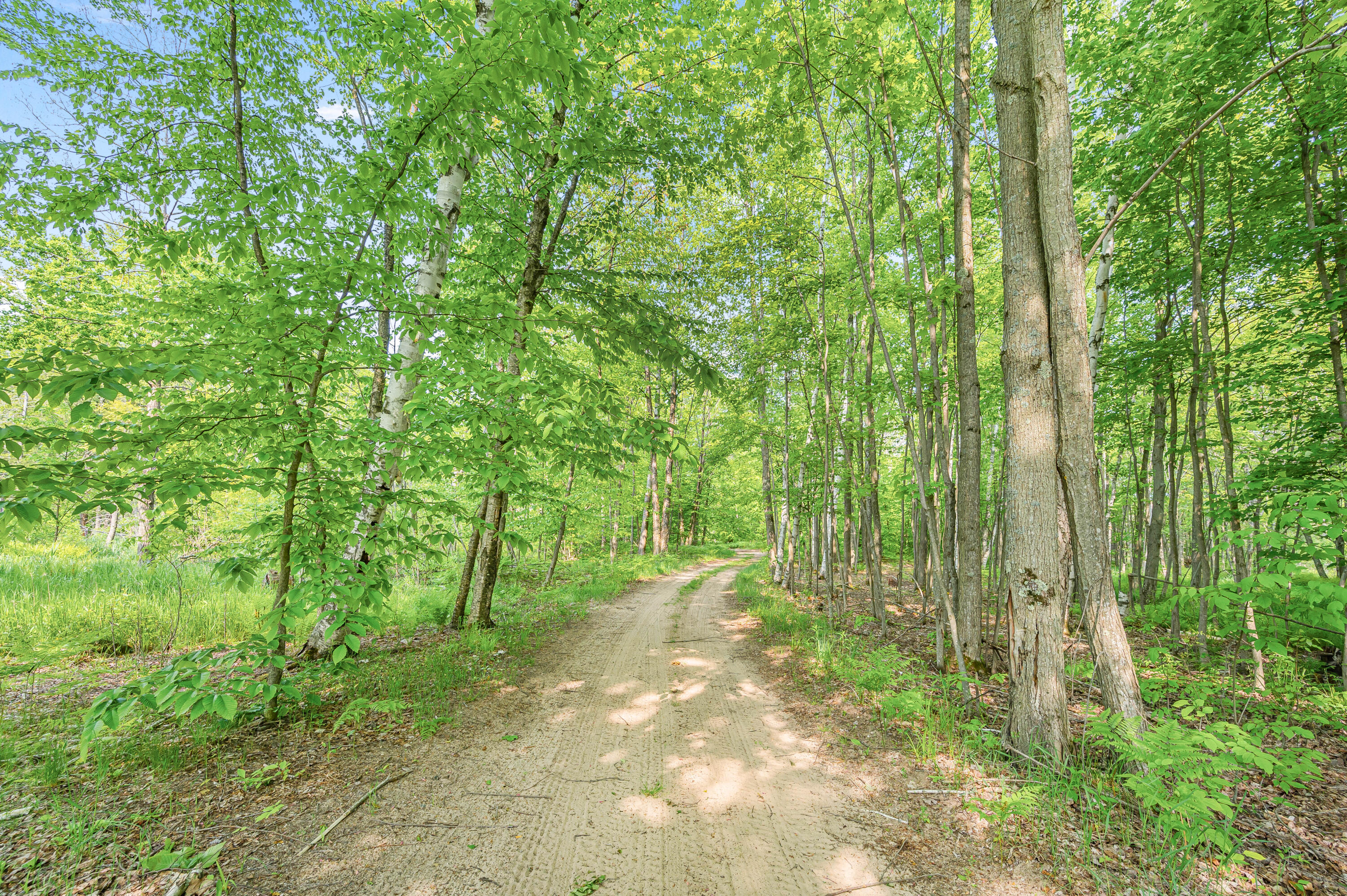 22251 210th Avenue Tustin, MI 49688 - Photo 63 of 80 22251-210thAve-Tustin-61