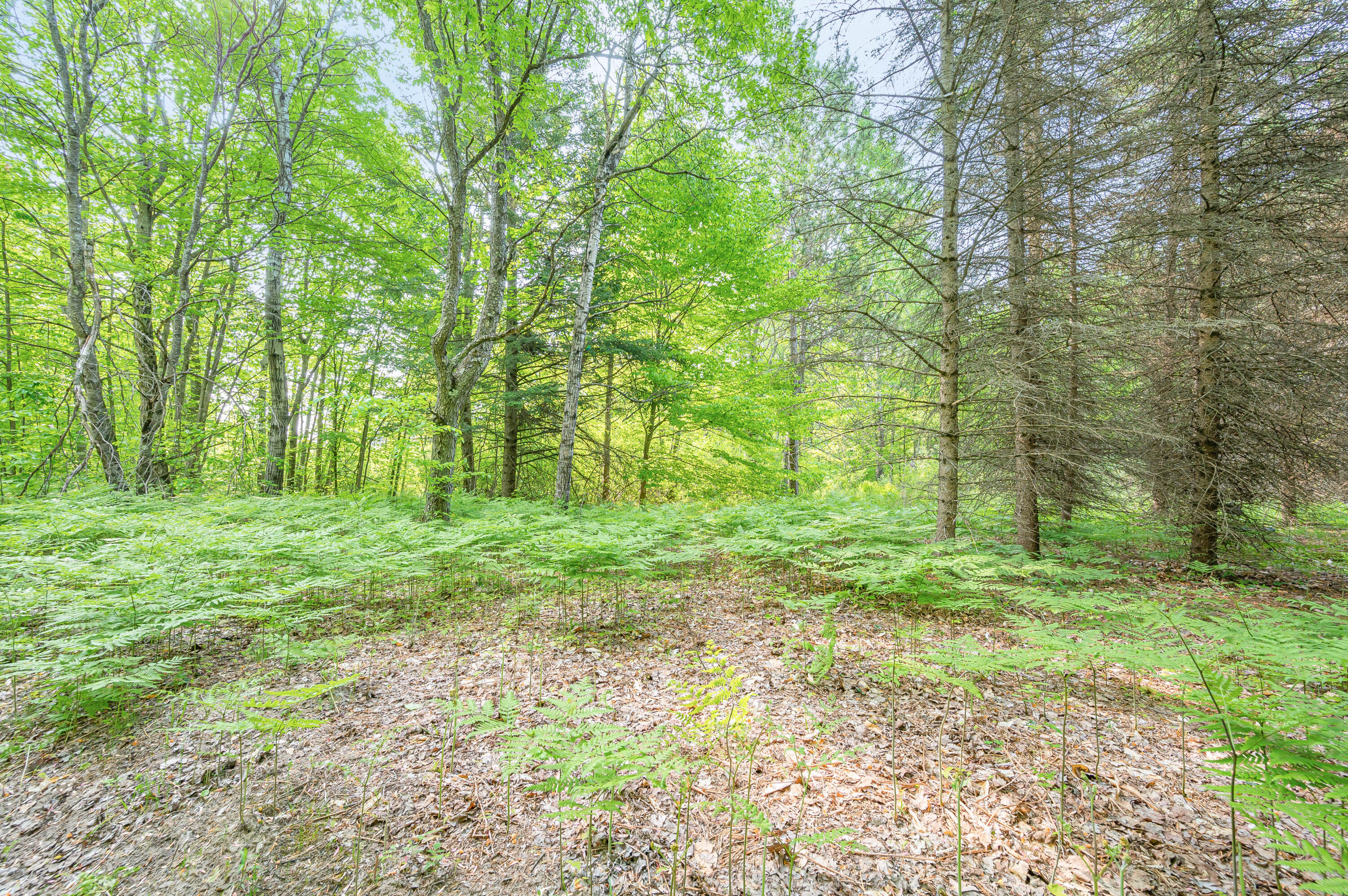 22251 210th Avenue Tustin, MI 49688 - Photo 64 of 80 22251-210thAve-Tustin-62