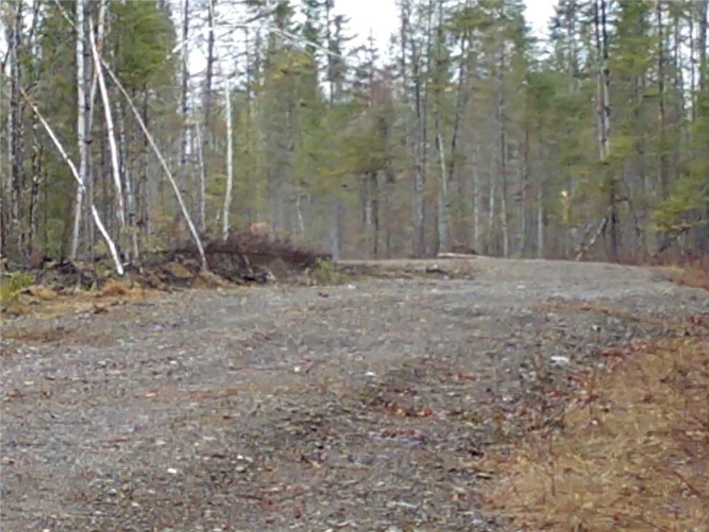 Off Off Morse/forest Roads Fort Fairfield, ME 04742 - Photo 18 of 22 Photo