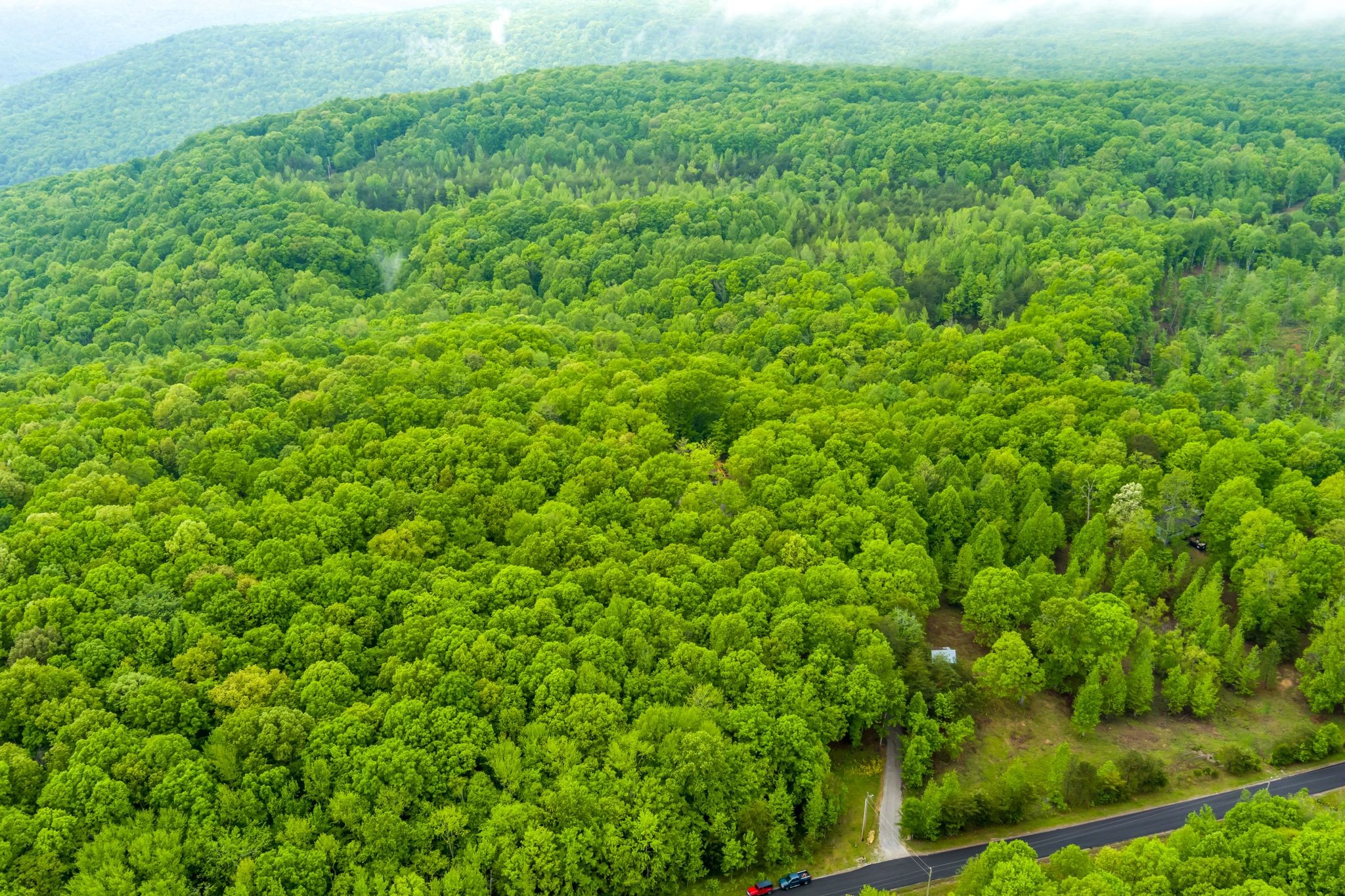 1590 Jackson Point Road Sewanee, TN 37375 - Photo 15 of 49 Gallery Image 15