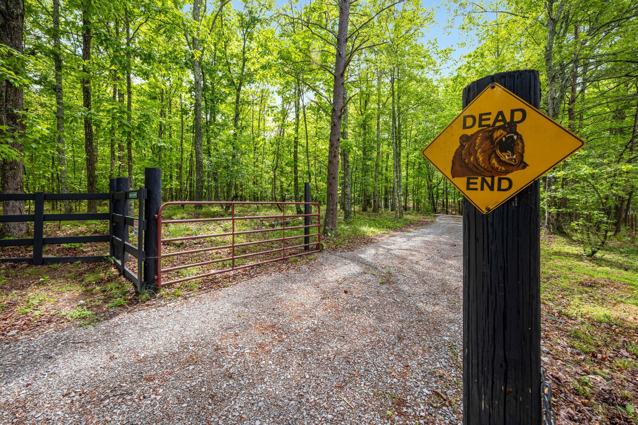 1590 Jackson Point Road Sewanee, TN 37375 - Photo 47 of 49 Gallery Image 47