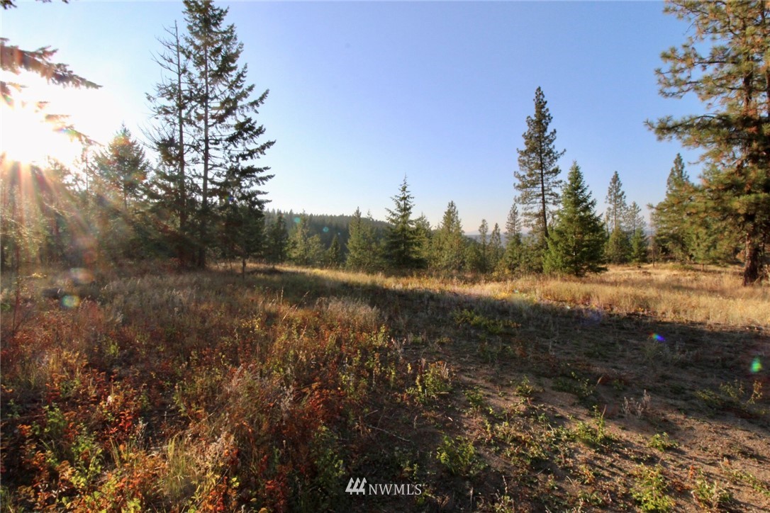 0 Rail Canyon Rd Ford Springdale, WA 99173 - Photo 1 of 4 a view of a field of grass and trees