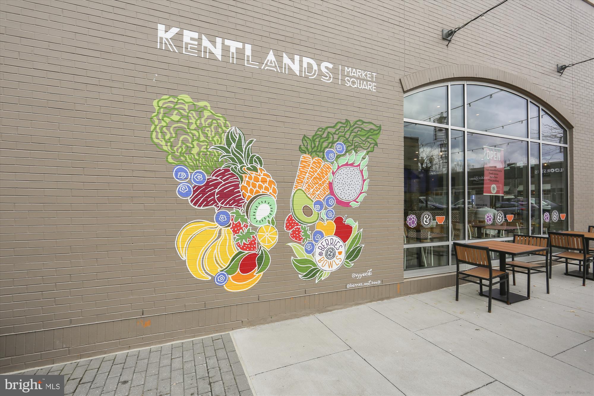 536 Tschiffely Square Road Gaithersburg, MD 20878 - Photo 111 of 116 Art