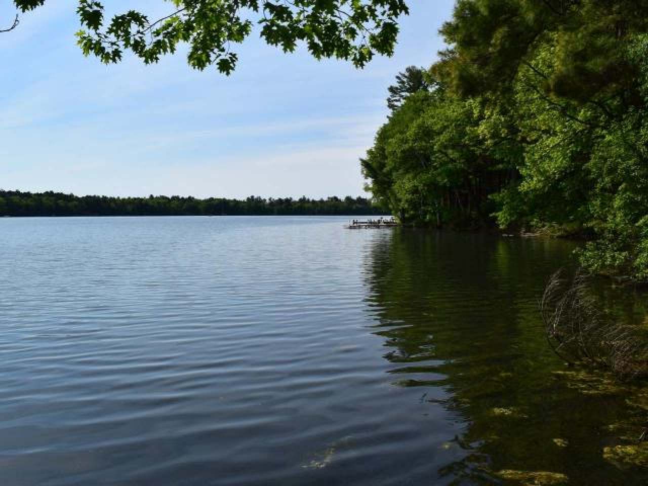 6560 South Bluebird Road Lake Tomahawk, WI 54539 - Photo 17 of 27 Gallery Image 17