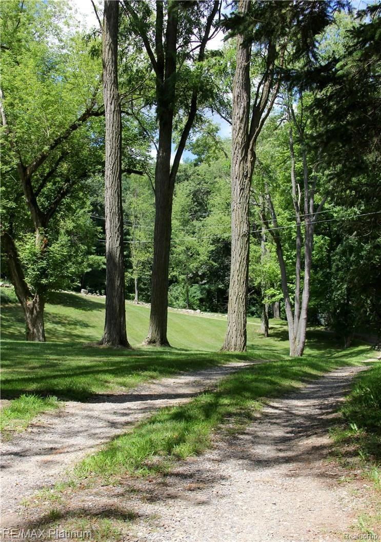 Driveway Leading to Your Secluded Estate.