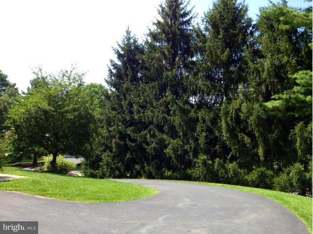 10507 Pot Spring Road Cockeysville, MD 21030 - Photo 25 of 26 PRIVATE DRIVE OFF POT SPRING RD.
