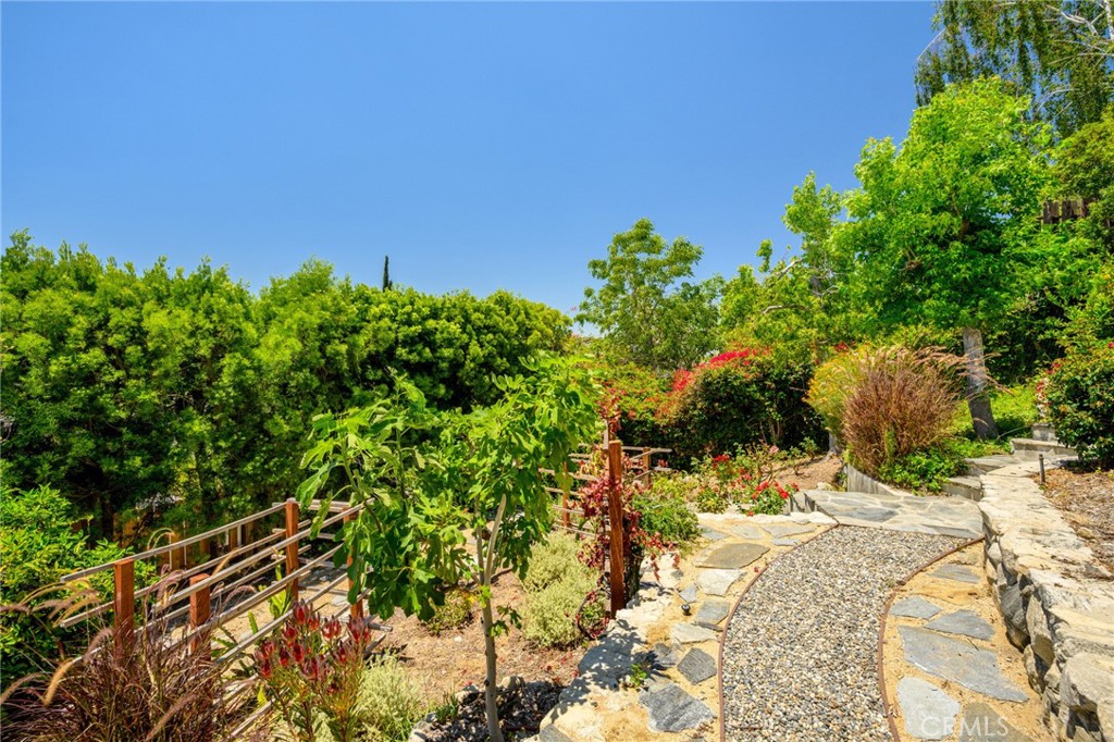 3404 Markridge Road La Crescenta, CA 91214 - Photo 49 of 67 More garden exploration, with the fig tree and other lush greenery showing off on a beautiful day!