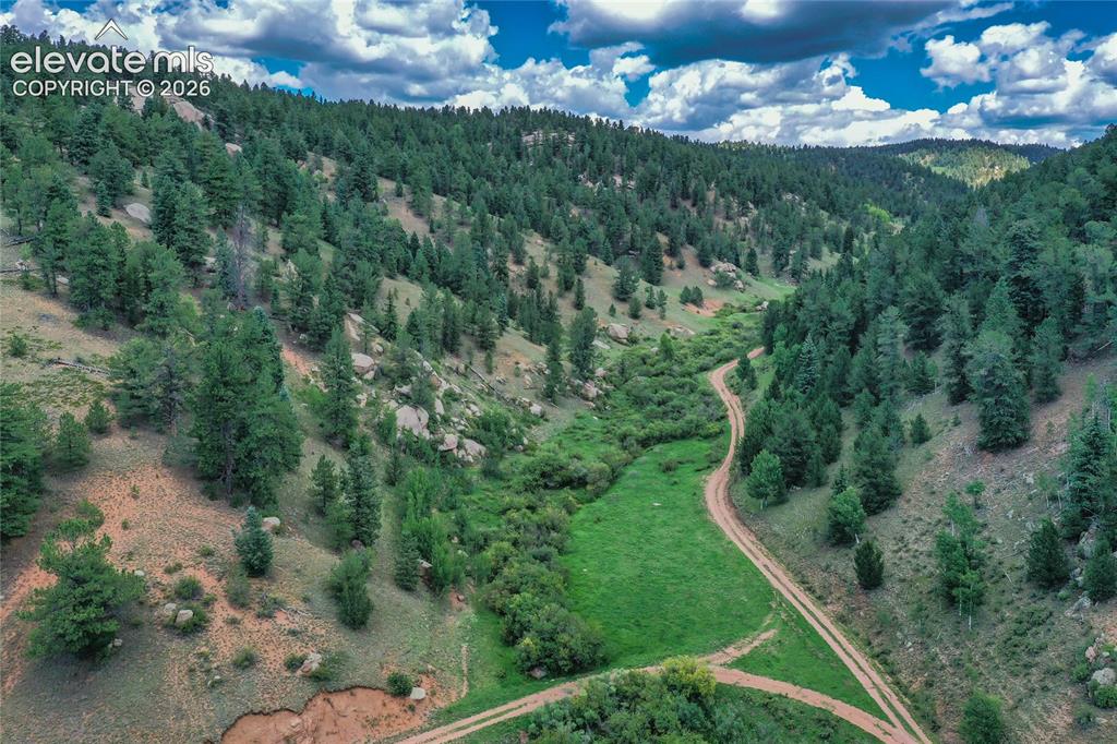 265 Homestead Road Divide, CO 80814 - Photo 8 of 50