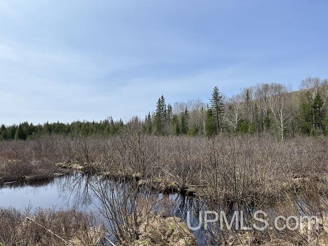 40-acres Little Lake Road Gwinn, MI 49841 - Photo 15 of 25