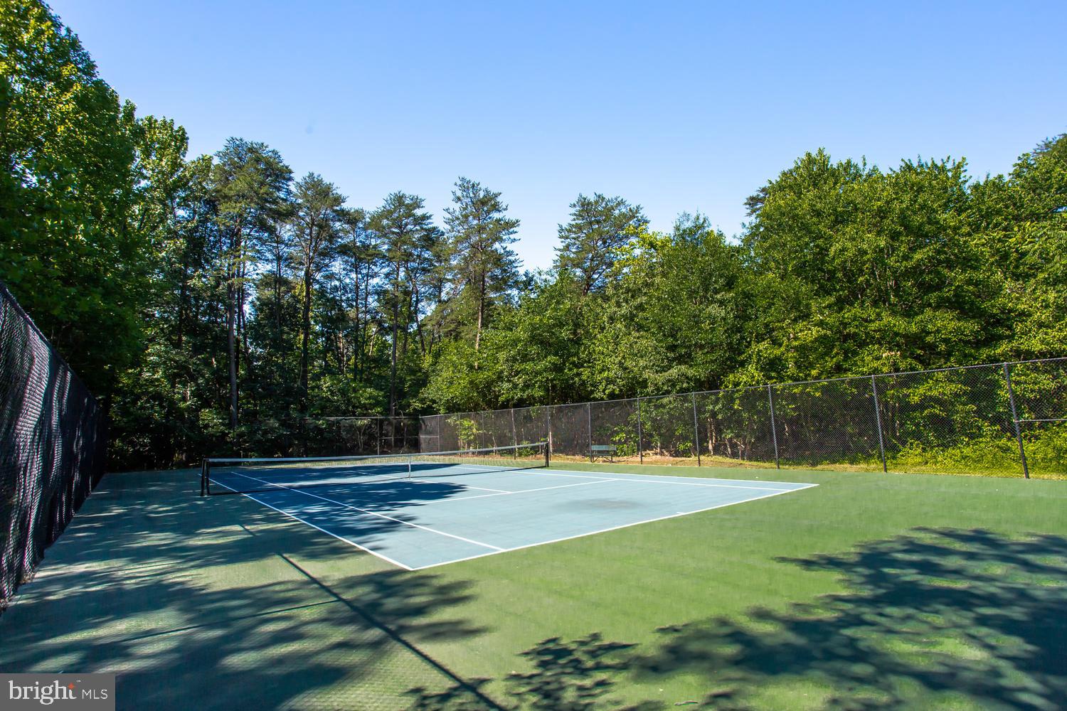 6248 Levi Court Springfield, VA 22150 - Photo 43 of 51 Serene tennis court amid lush greenery.
