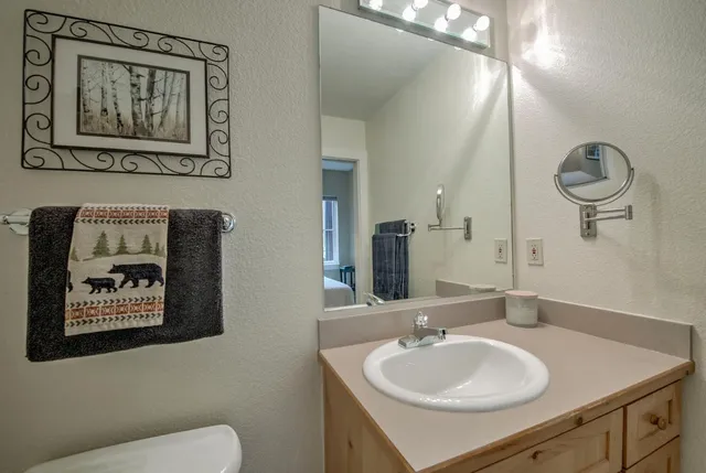 a bathroom with a toilet a sink and mirror