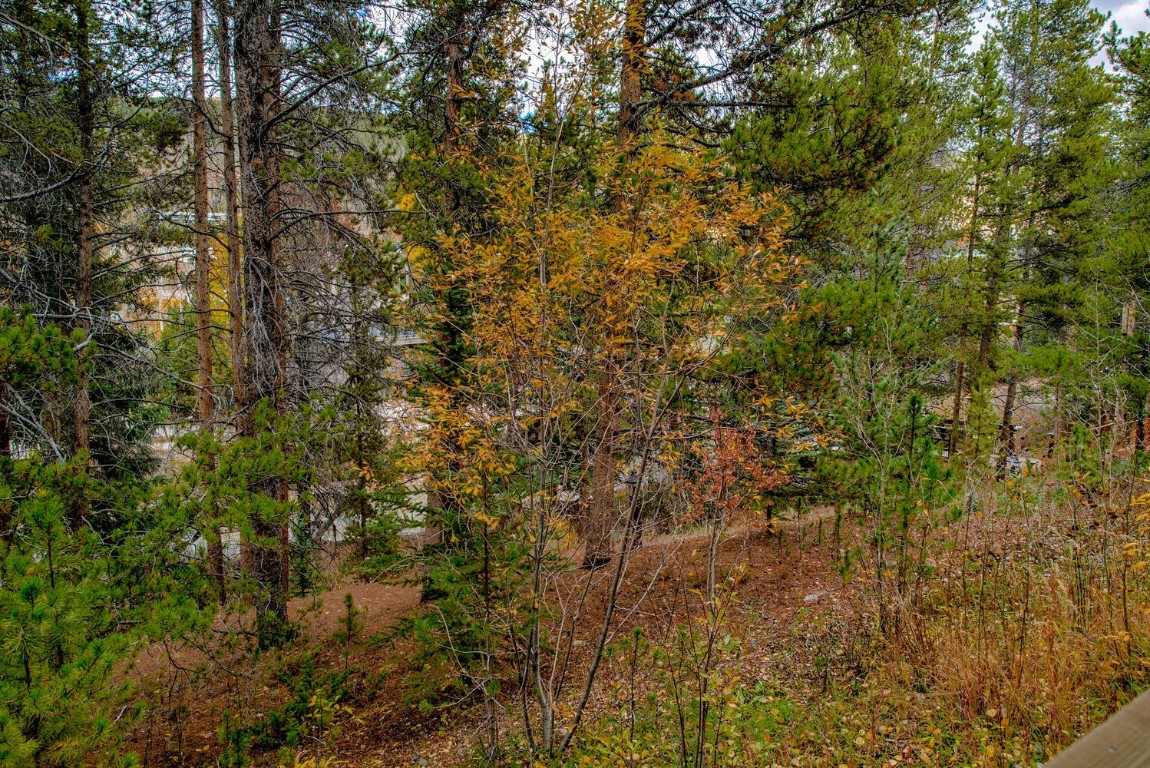 97 Lake Ridge Circle, Unit 1854 Keystone, CO 80435 - Photo 28 of 38 a view of a yard of a building