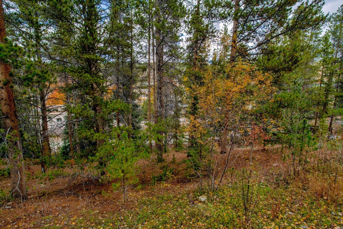 97 Lake Ridge Circle, Unit 1854 Keystone, CO 80435 - Photo 29 of 38 a view of a lush green forest