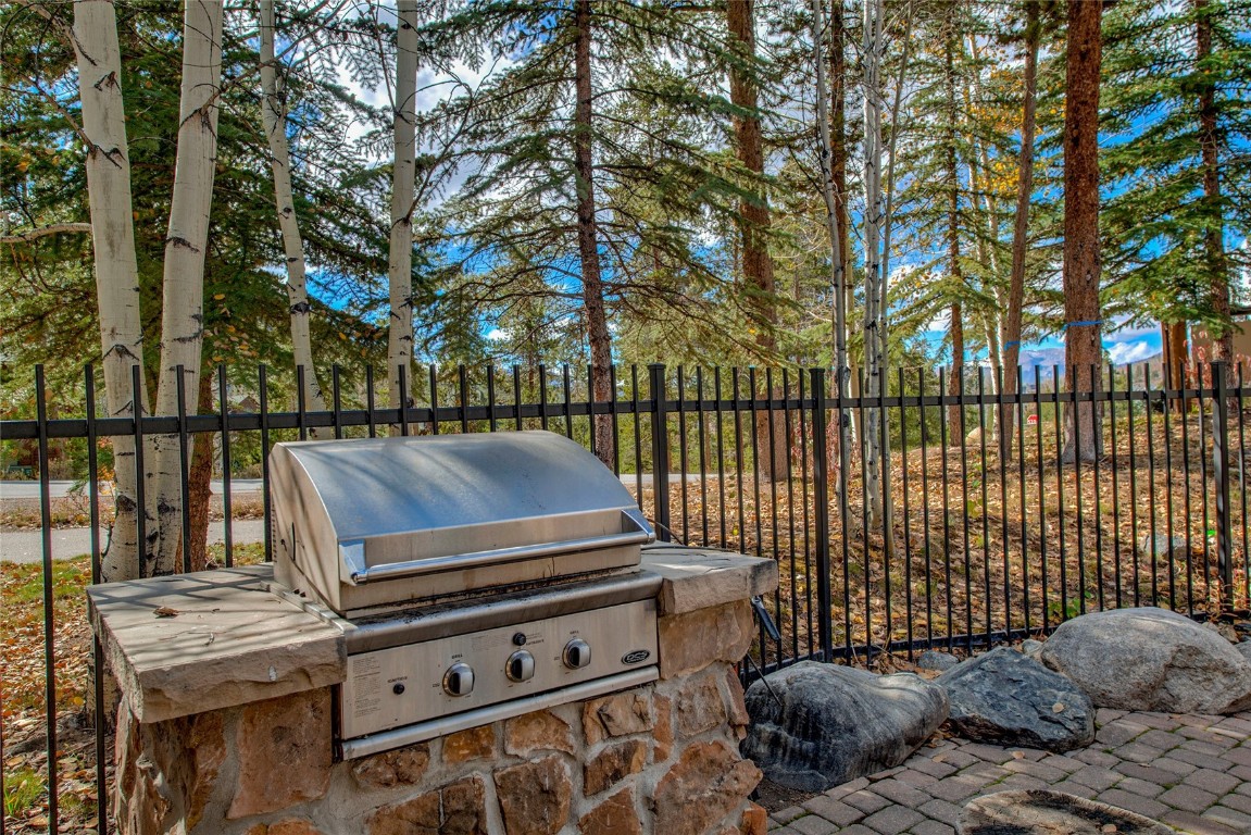 97 Lake Ridge Circle, Unit 1854 Keystone, CO 80435 - Photo 35 of 38 a view of a patio with iron fence