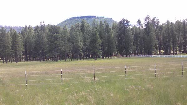 5 D Cr Alpine, AZ 85920 - Photo 2 of 9