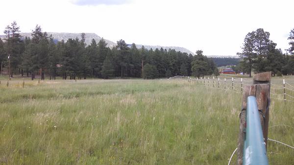 5 D Cr Alpine, AZ 85920 - Photo 3 of 9