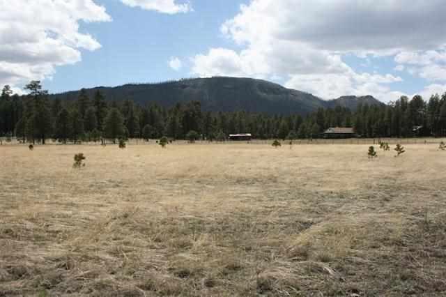 5 D Cr Alpine, AZ 85920 - Photo 5 of 9