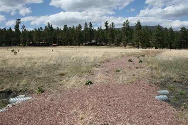 5 D Cr Alpine, AZ 85920 - Photo 6 of 9
