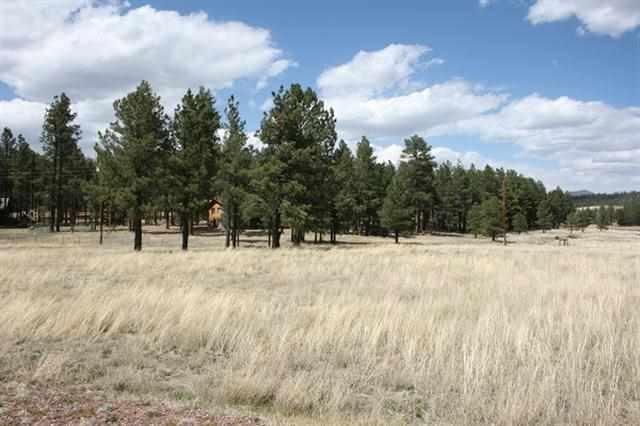 5 D Cr Alpine, AZ 85920 - Photo 7 of 9