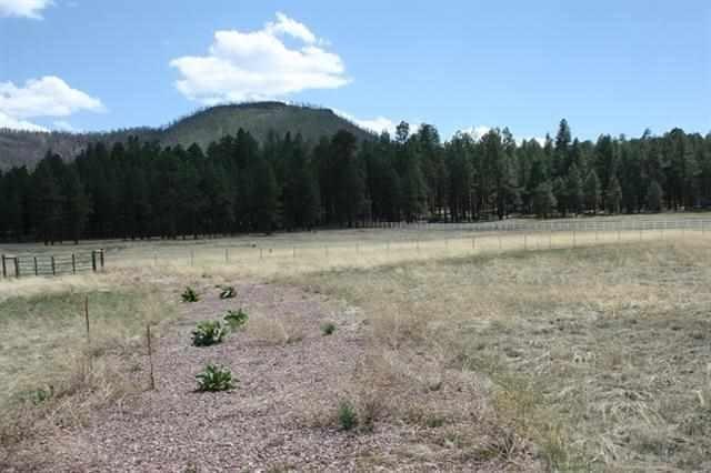 5 D Cr Alpine, AZ 85920 - Photo 8 of 9