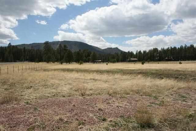 5 D Cr Alpine, AZ 85920 - Photo 9 of 9