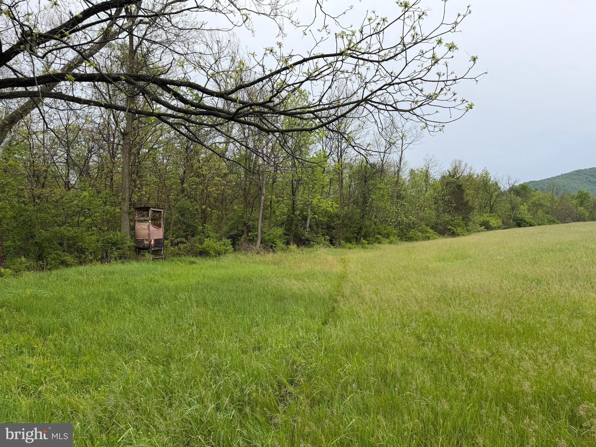 12591 Shimpstown Road Mercersburg, PA 17236 - Photo 36 of 147