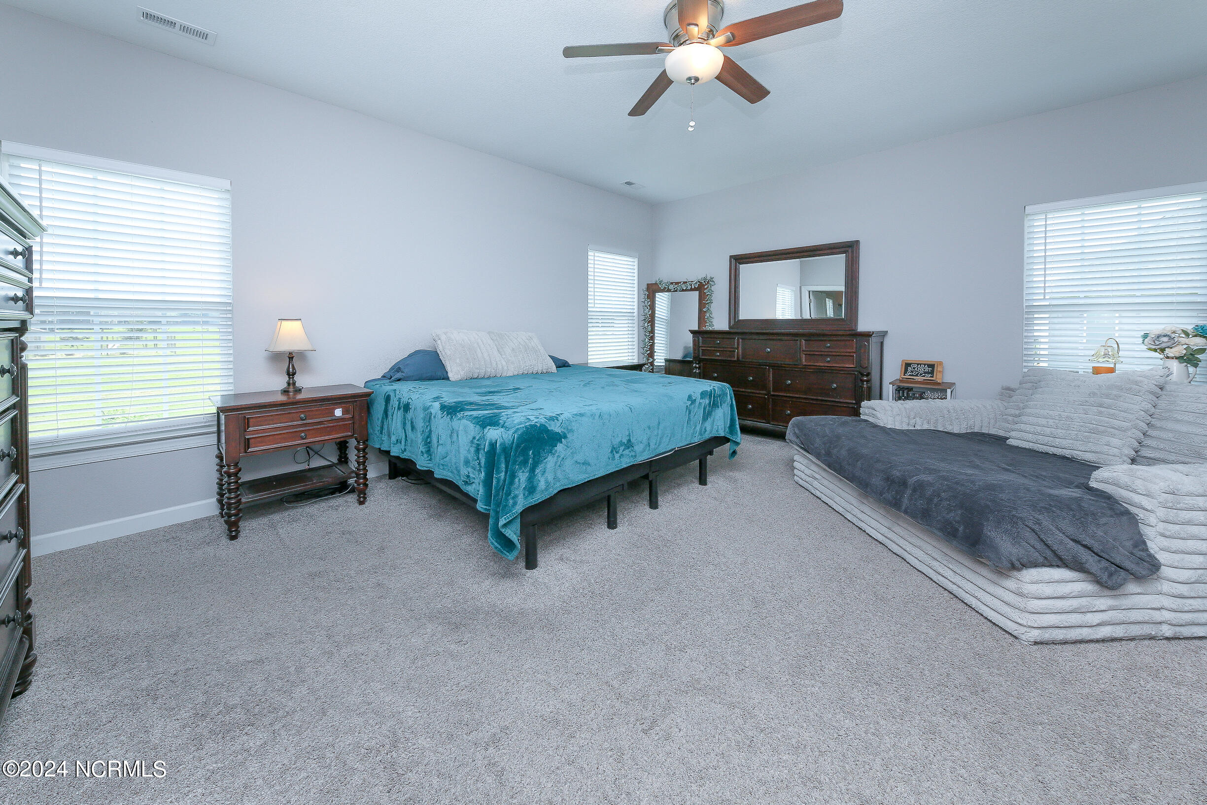 294 Sleepy Hollow Road Camden, NC 27921 - Photo 22 of 39 Primary Bedroom w/ walk in closet