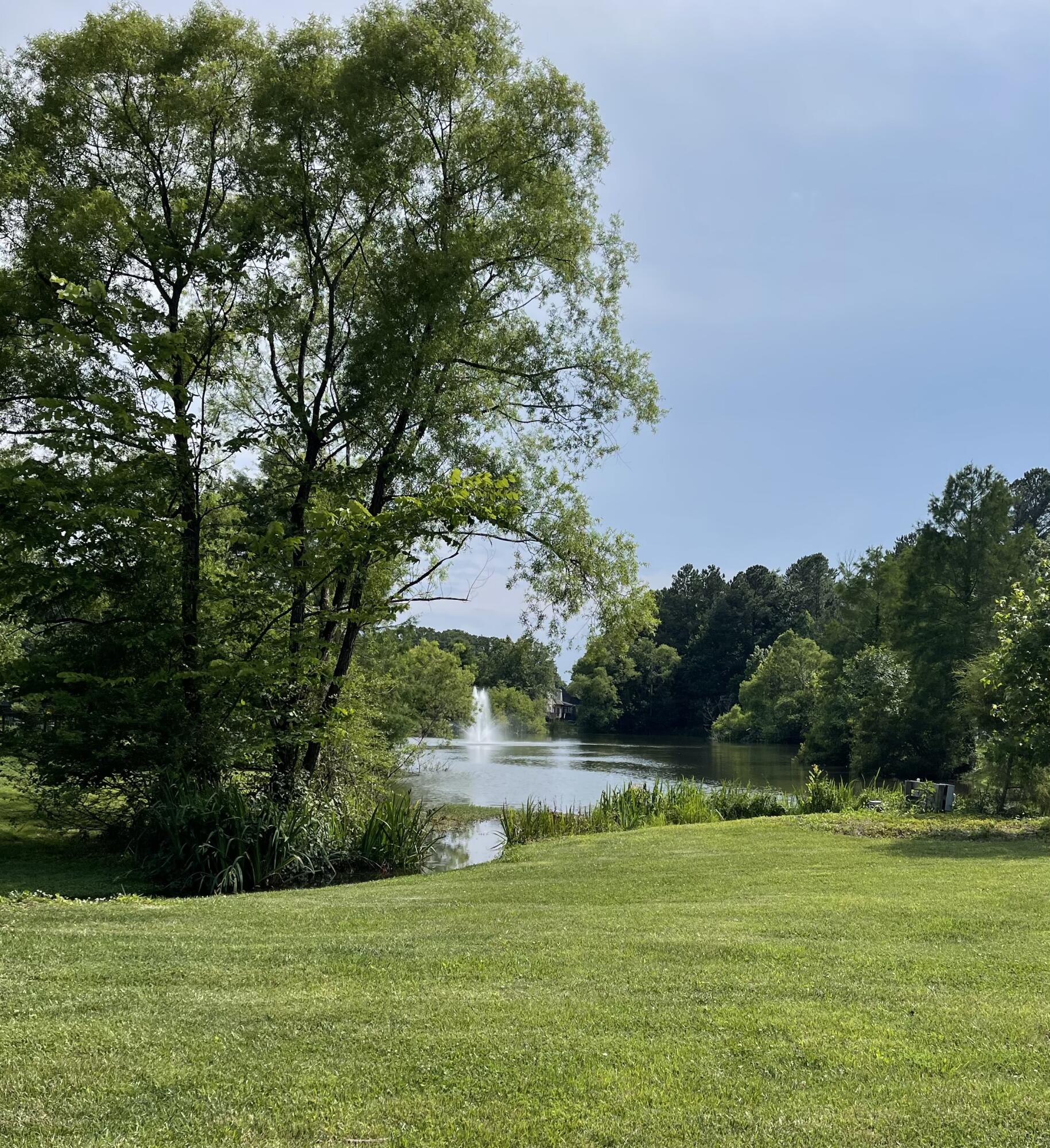 1829 Chadwick Court Hixson, TN 37343 - Photo 35 of 38 IMG-4217