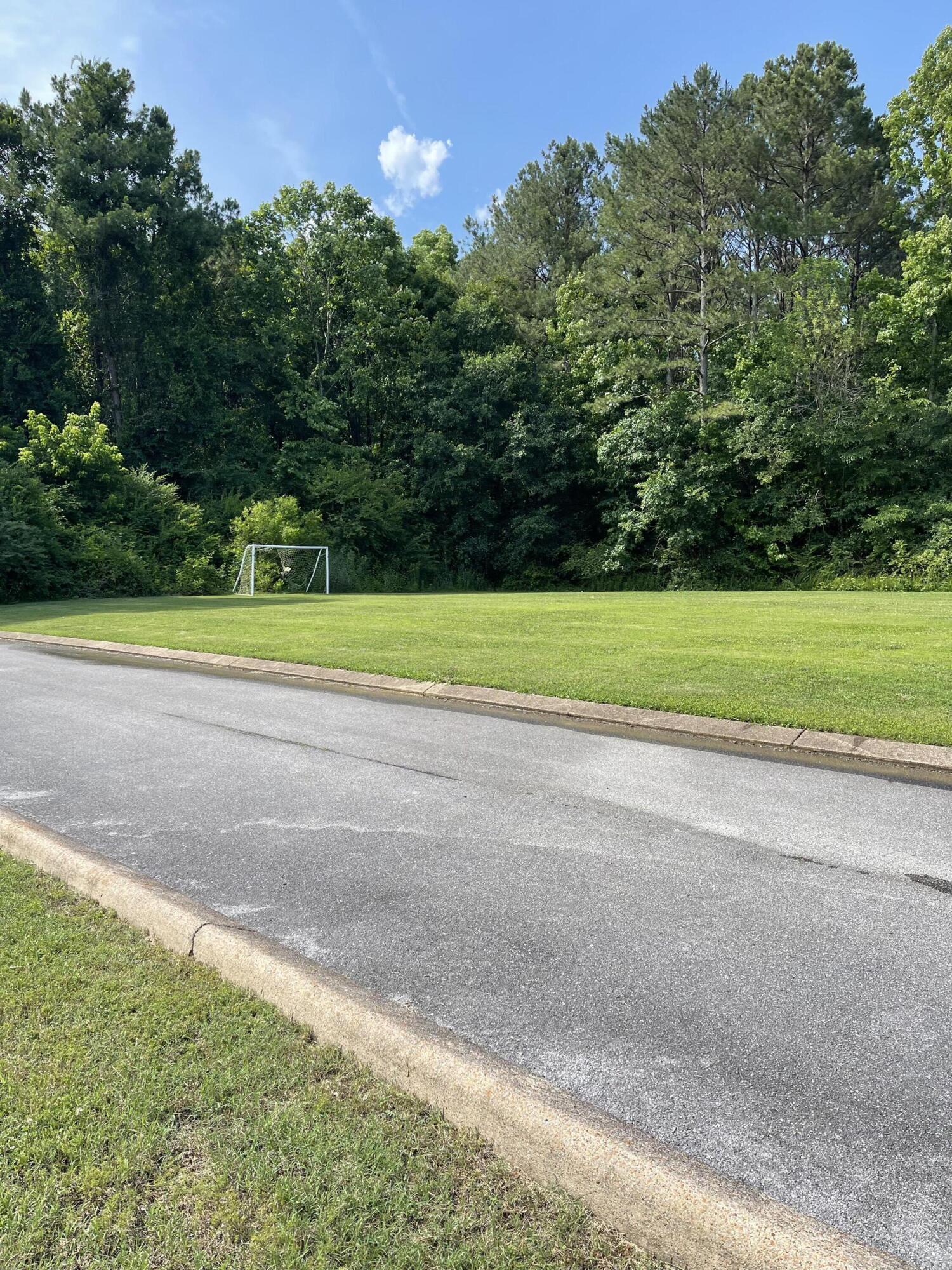 1829 Chadwick Court Hixson, TN 37343 - Photo 36 of 38 IMG-4218