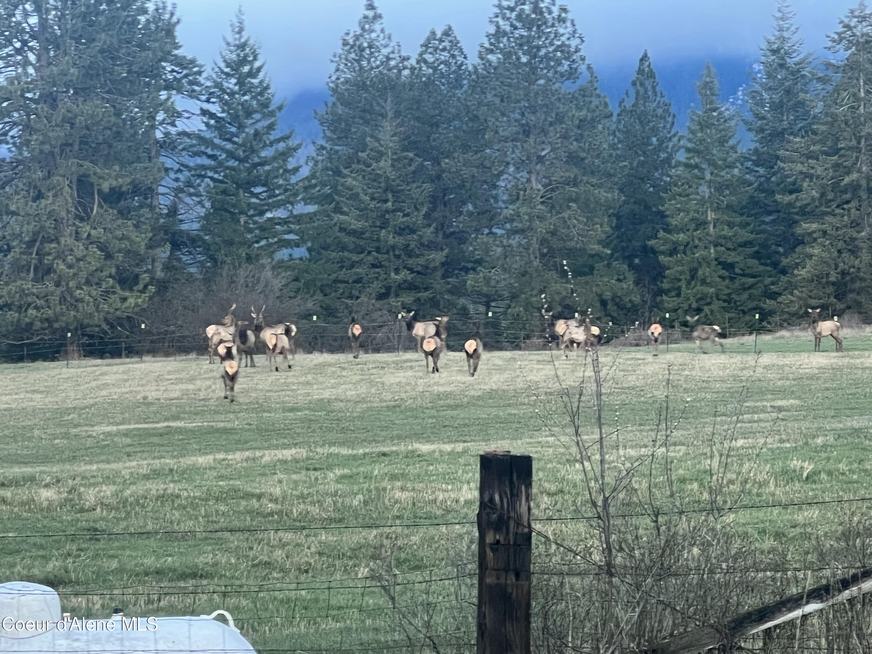 8827 West Carnie Road Coeur D'Alene, ID 83814 - Photo 49 of 53 IMG_3730