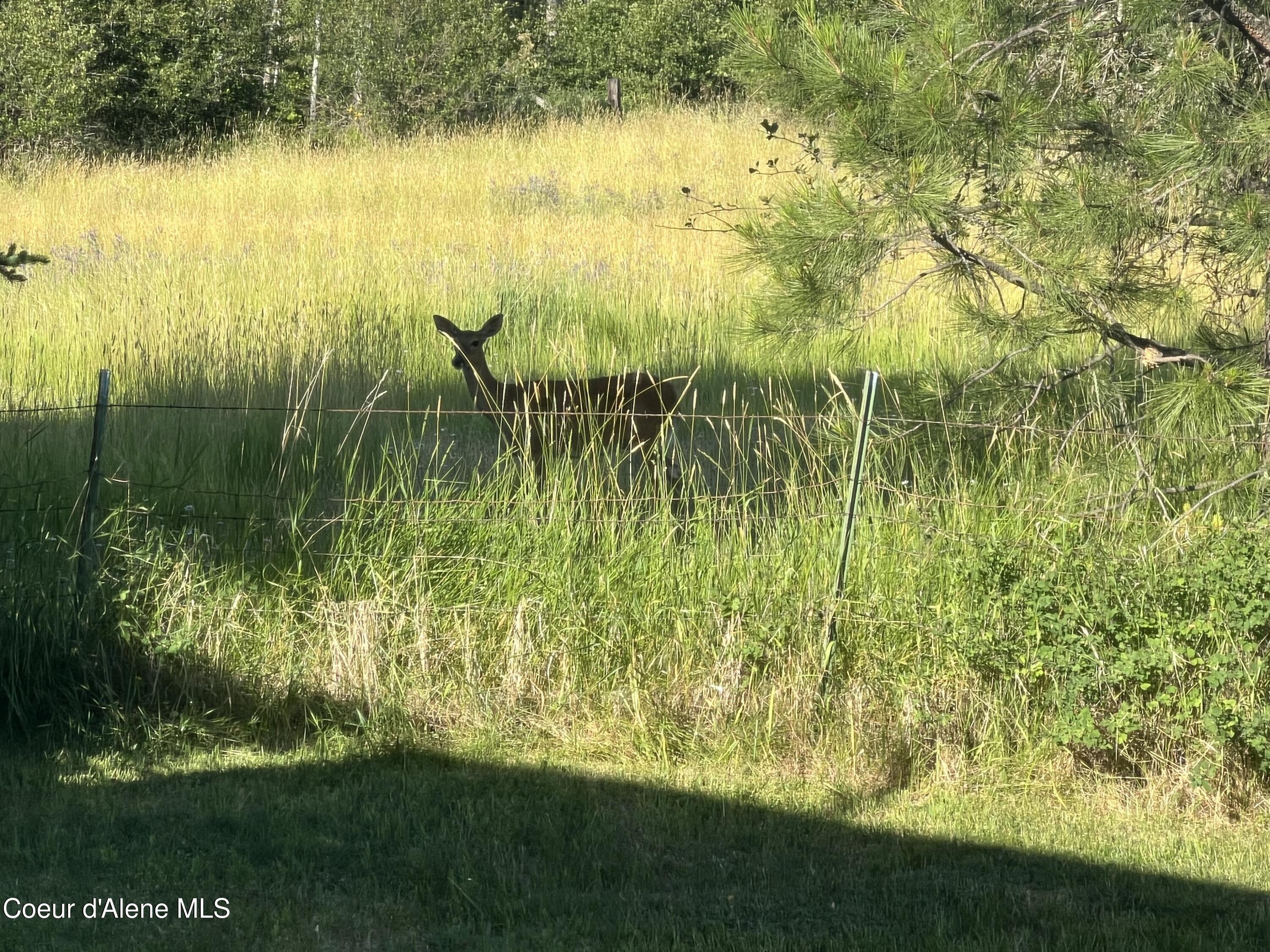 8827 West Carnie Road Coeur D'Alene, ID 83814 - Photo 50 of 53 IMG_4949