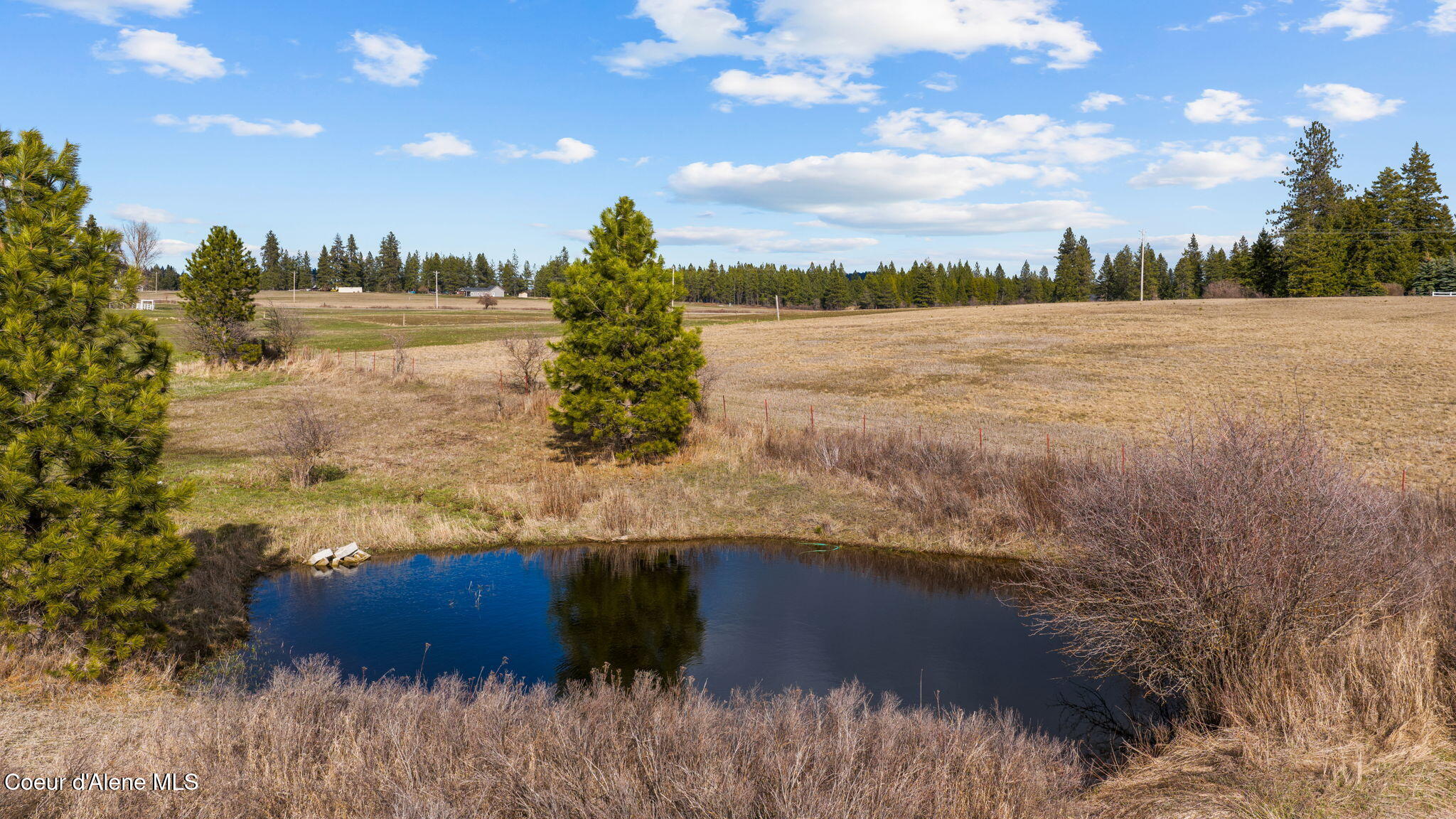 8827 West Carnie Road Coeur D'Alene, ID 83814 - Photo 9 of 53 15-web-or-mls-DJI_20260309145019_0161_D