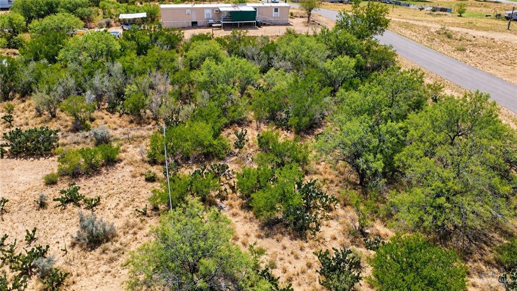 320 Raven Street Zapata, TX 78076 - Photo 4 of 4 Gallery Image 4