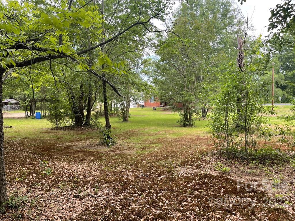 97 County Rd S-13-678 Jefferson, SC 29718 - Photo 5 of 24 a view of outdoor space with trees all around
