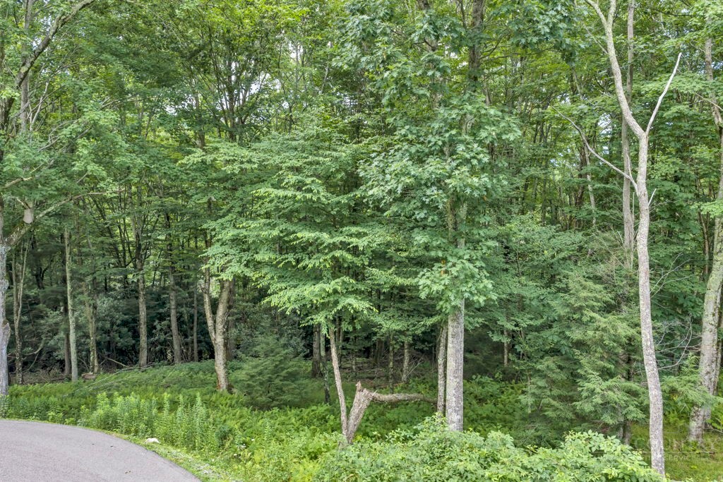 Trail Trail Banner Elk, NC 28604 - Photo 11 of 35 Gallery Image 11