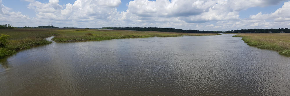 2309 Pristine View Road Charleston, SC 29414 - Photo 50 of 53 Sylvan Shores Boat Ramp-7