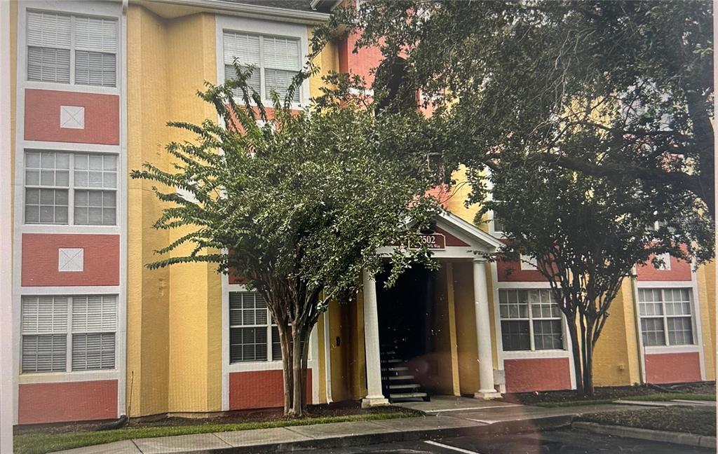 a front view of a house with a tree