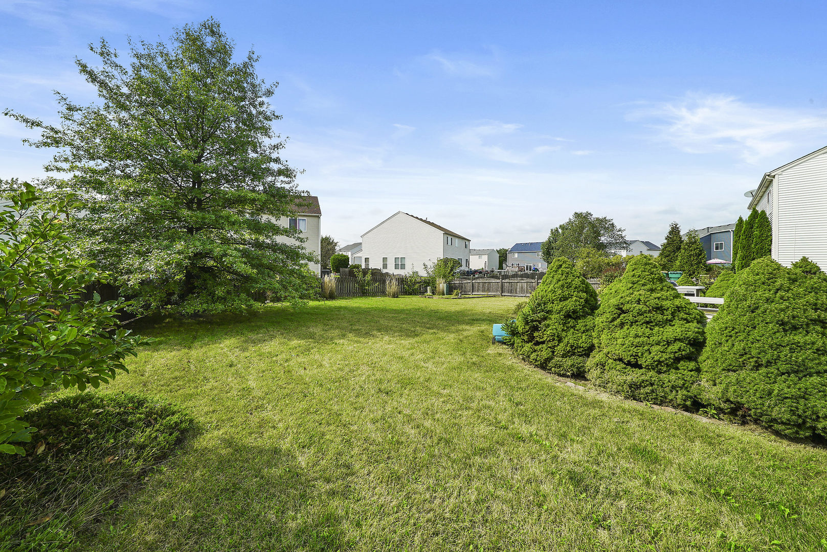 1815 Blue Ridge Drive Plainfield, IL 60586 - Photo 26 of 32