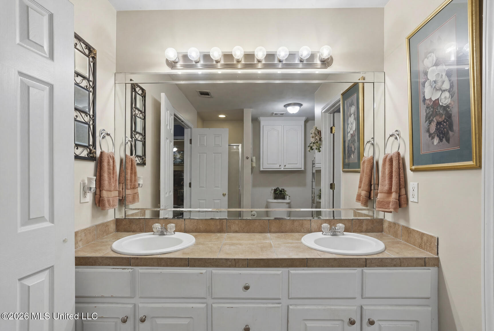 466 Magnolia Place Brandon, MS 39042 - Photo 23 of 35 466 Magnolia_jhookphotos-17