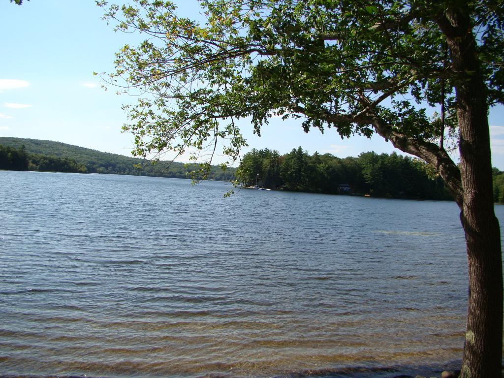 33 North River Lake Road East Nottingham, NH 03290 - Photo 19 of 19 Gallery Image 19