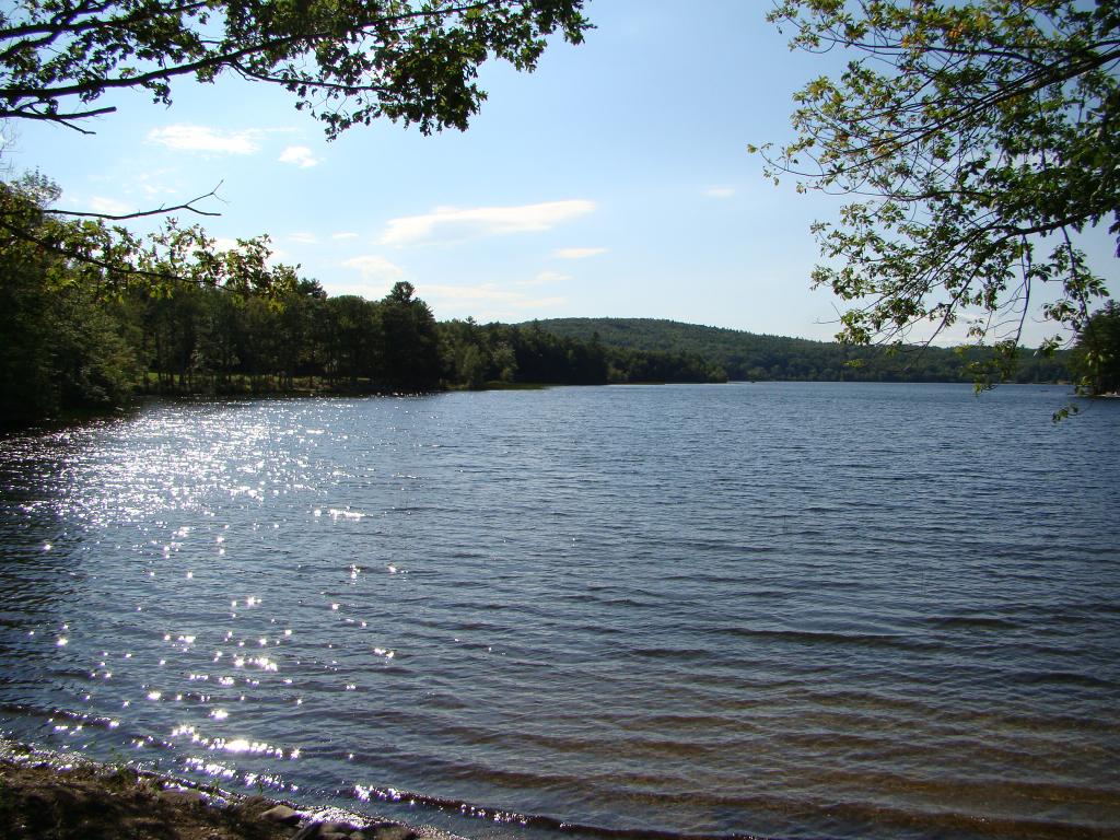 33 North River Lake Road East Nottingham, NH 03290 - Photo 5 of 19 Gallery Image 5