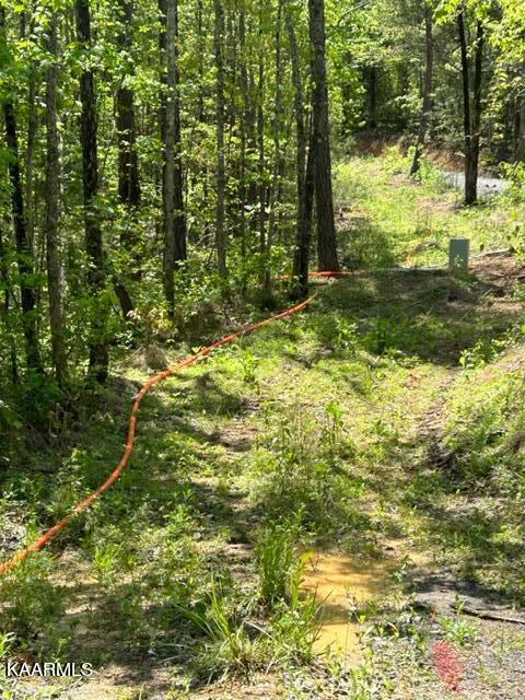 11 Liggett Road Decatur, TN 37322 - Photo 11 of 48 IMG_1040