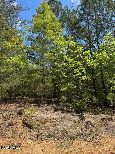 11 Liggett Road Decatur, TN 37322 - Photo 12 of 48 IMG_1020
