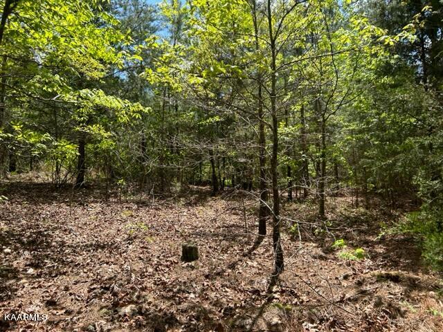 11 Liggett Road Decatur, TN 37322 - Photo 13 of 48 IMG_1027