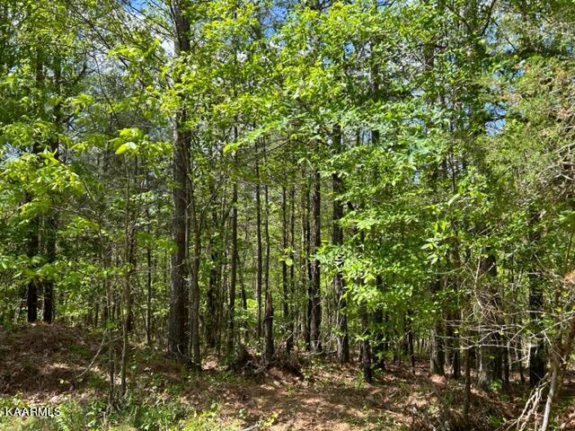 11 Liggett Road Decatur, TN 37322 - Photo 15 of 48 IMG_1023