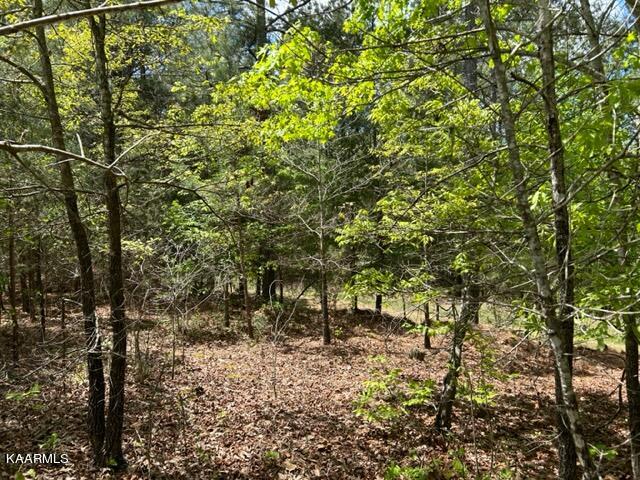 11 Liggett Road Decatur, TN 37322 - Photo 19 of 48 IMG_1028