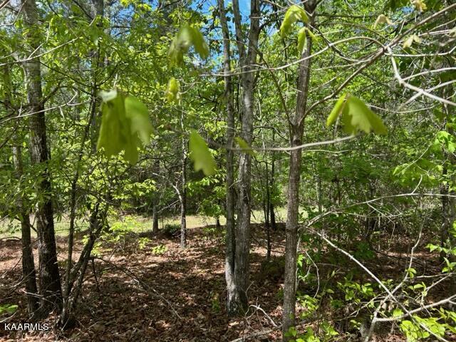 11 Liggett Road Decatur, TN 37322 - Photo 20 of 48 IMG_1029
