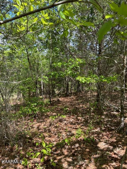 11 Liggett Road Decatur, TN 37322 - Photo 21 of 48 IMG_1030