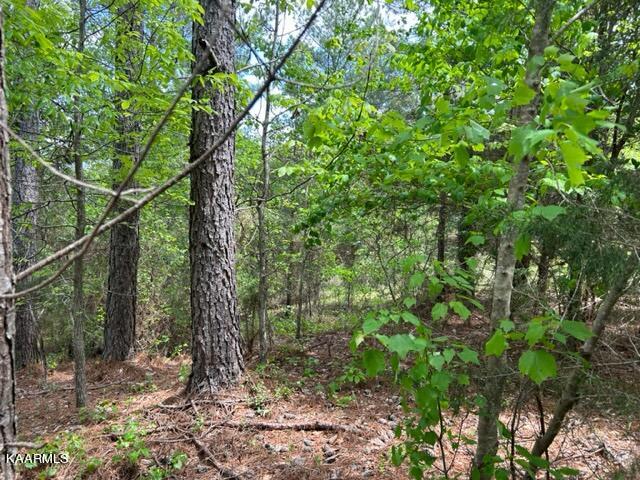 11 Liggett Road Decatur, TN 37322 - Photo 22 of 48 IMG_1010